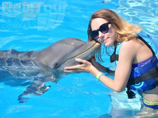 promo:Плавание с Дельфинами